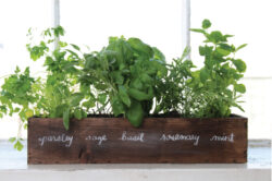Vensterbank Moestuin