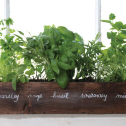 Vensterbank Moestuin